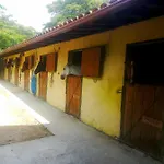Quinta Do Fijo *