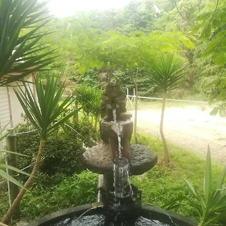Quinta Do Fijo اركوس دي فالديفيز