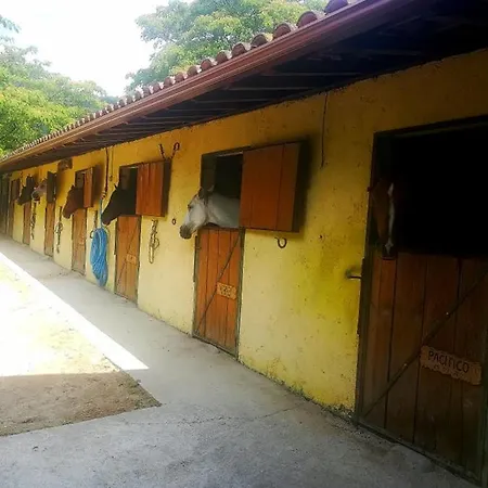 Quinta Do Fijo *