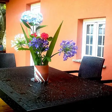 Farm stay Quinta Do Fijo *