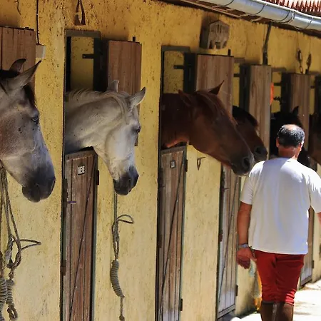 Séjour à la ferme Quinta Do Fijo