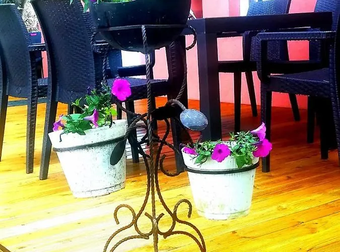 Alojamento de Turismo Rural Quinta Do Fijo