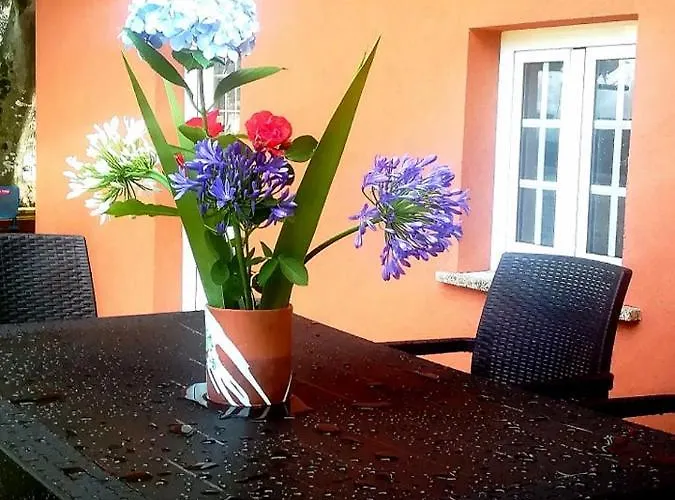 Vakantieboerderij Quinta Do Fijo *