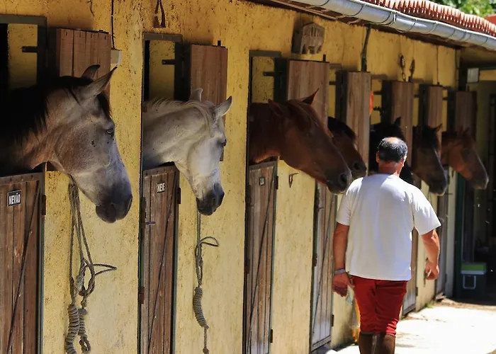 Séjour à la ferme Quinta Do Fijo
